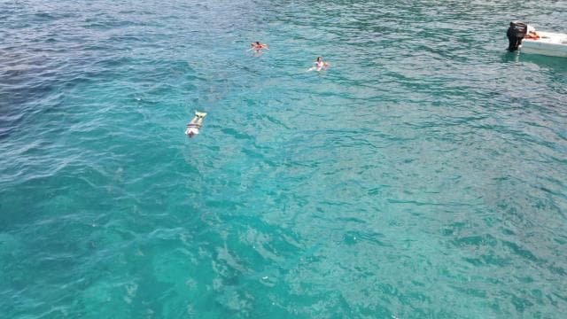 Caño Island Biological Reserve - Snorkeling or Diving