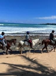 Punta Cana: wycieczka konna z przewodnikiem po plażach i polach - Photo 5 (Gallery view)