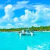 Z Punta Cana: Isla Saona Celodenní prohlídka s obědem formou bufetu - Photo 3 (Gallery view)