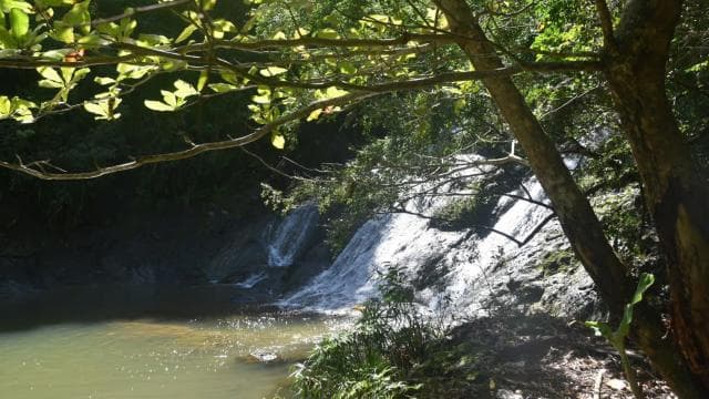 San Juan, PR: Hike to a Hidden Waterfall Adventure - Photo 4 (Gallery view)