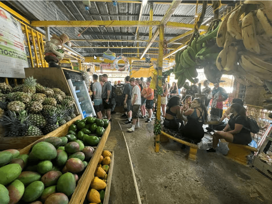 El Yunque Rainforest Waterslides and Beach Tour & Transport - Photo 3 (Gallery view)