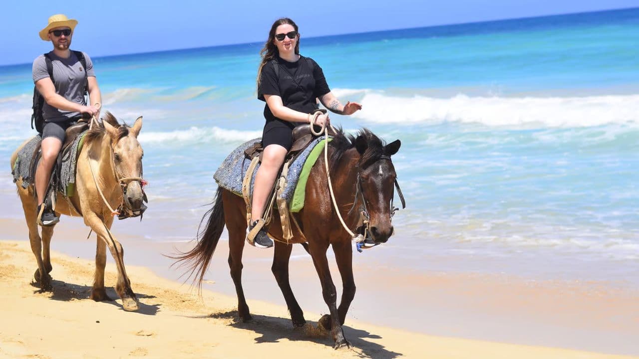 Macao Beach & Forest Horseback Adventure