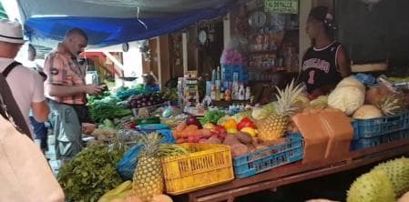 Punta Cana: Safari Outdoor Adventure with Hotel Pickup - Photo 3 (Gallery view)