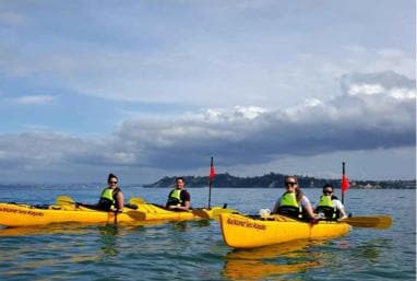Los Haitises: Guided Kayak Tour with Local Guide