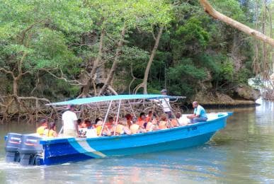 Punta Cana to Los Haitises, Caño Hondo & Montaña Redonda Day Trip – Adults $125, Kids $95