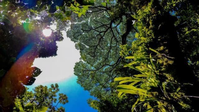 Fortuna Combo: Hanging Bridges + Arenal Volcano & Waterfall