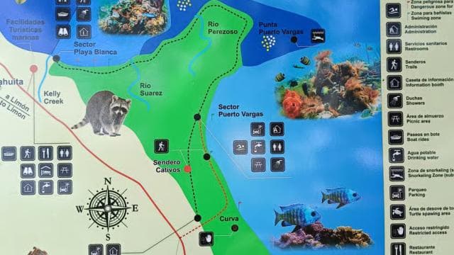 Snorkeling +Guided Hike at Cahuita National Park