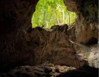 2in1: Los Haitises National Park + Yanigua Waterfall-SPA - Photo 2 (Gallery view)