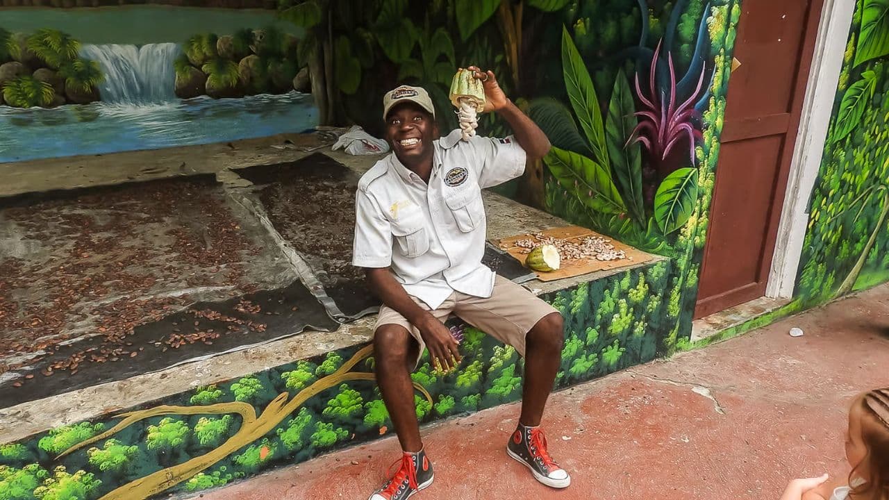 Punta Cana: Monkeyland and Plantation Tour
