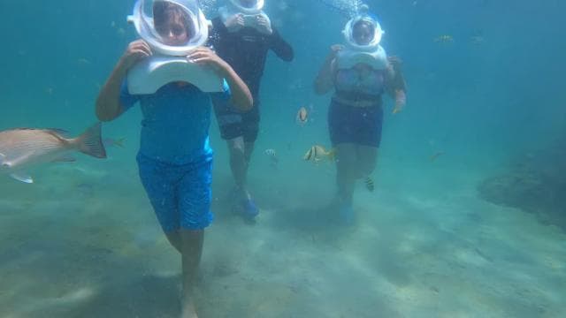 San Juan: sea trek tour explore beneath the waves