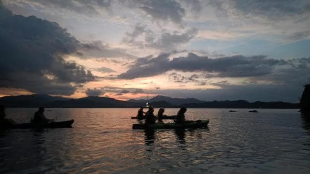 Paquera: Bioluminescent Kayak Tour Costa Rica