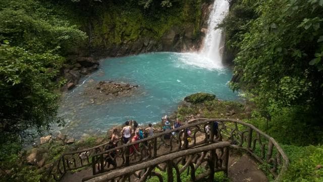 La Fortuna: Rio Celeste, Sloths, Coffee & Chocolate Tour