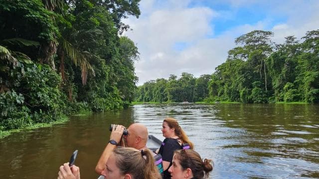 Tortuguero: Canoe tour package and night walk in the jungle.
