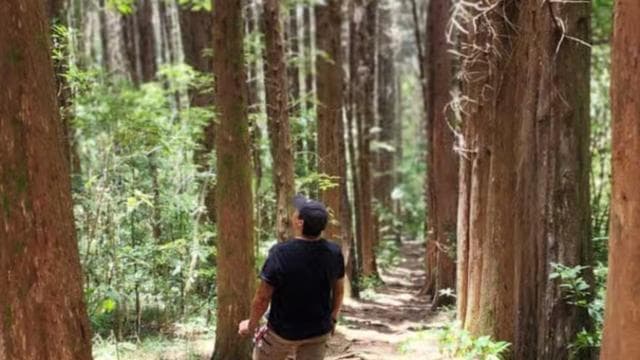 Exploration and Adventure: Toyota Land Cruiser Ride & Hike