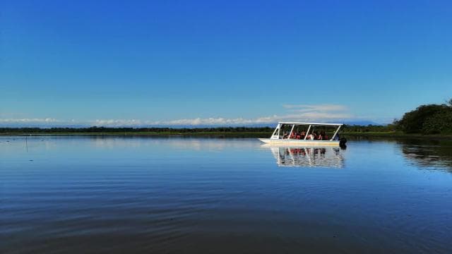 Caño Negro: Wildlife Discovery Tour