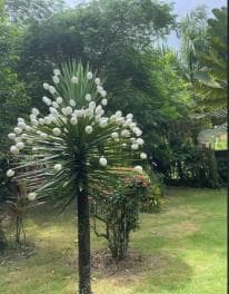 Las Terrenas: Private Coffee Trail ATV Tour in Samana