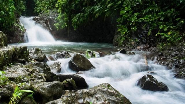 Manuel Antonio: Rainmaker Park Bridge & Waterfall Tour