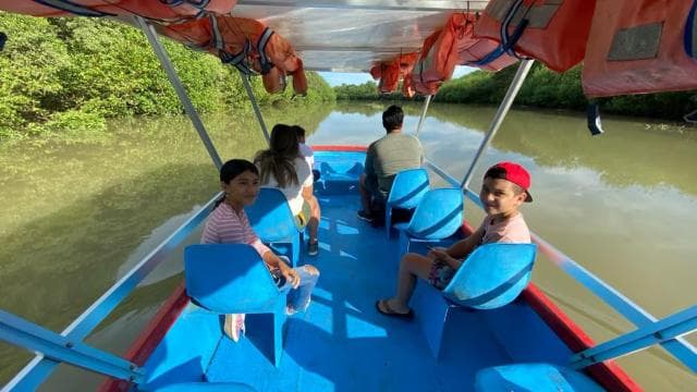 Mangrove and monkey boat Tour UNFORGETTABLE...
