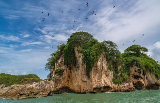 Los Haitises: Boat + Lunch at the beach & Natural pools