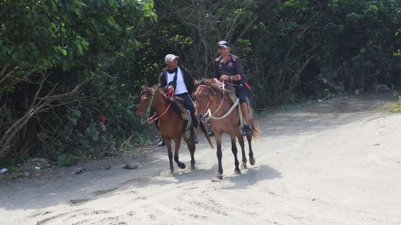 Beach horse back riding and countryside (Copy) - Dominican Republic