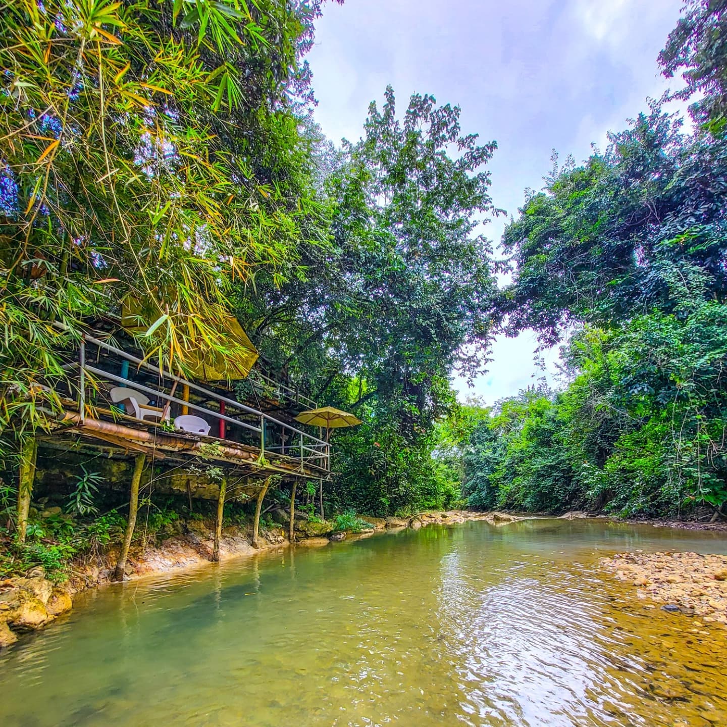 3in1: Los Haitises N. Park + Waterfalls + Montaña Redonda - Dominican Republic