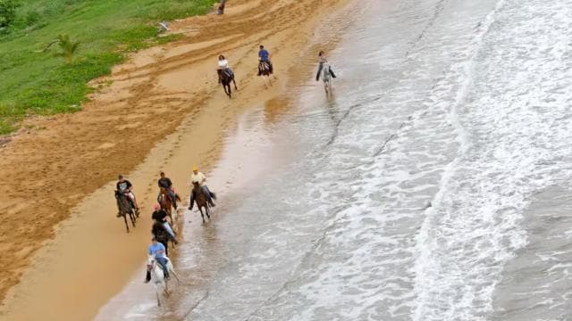 Carabalí Rainforest Park: Beach Horseback Riding