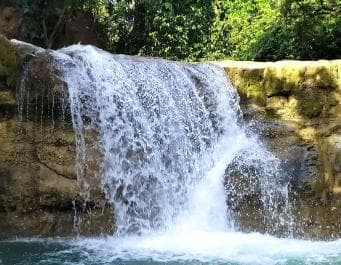 Adventure from Miches: Los Haitises, Caño Hondo, and Yanigua