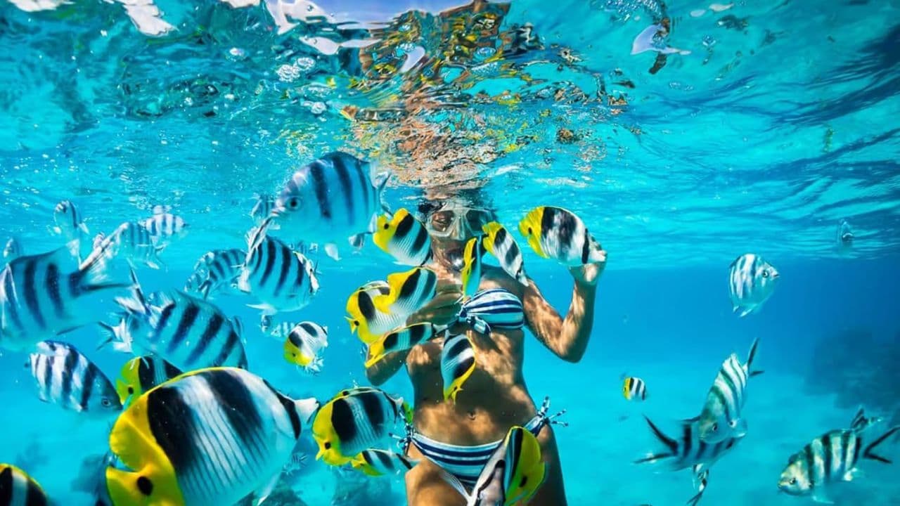 Punta Cana: Full-Day Snorkeling Tour to Catalina Island