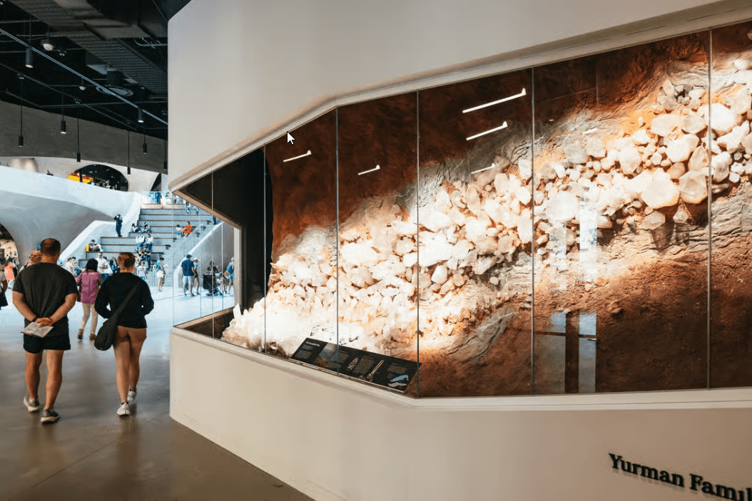 Nowy Jork: Bilet do Amerykańskiego Muzeum Historii Naturalnej - Photo 3 (Gallery view)