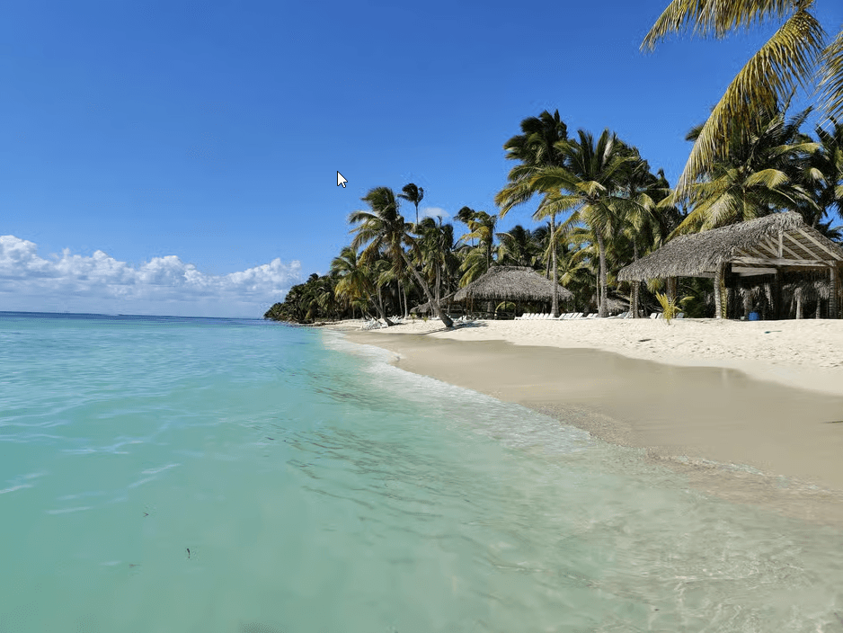 Punta Cana: Saona Island VIP Catamaran Tour All Inclusive - Photo 5 (Gallery view)