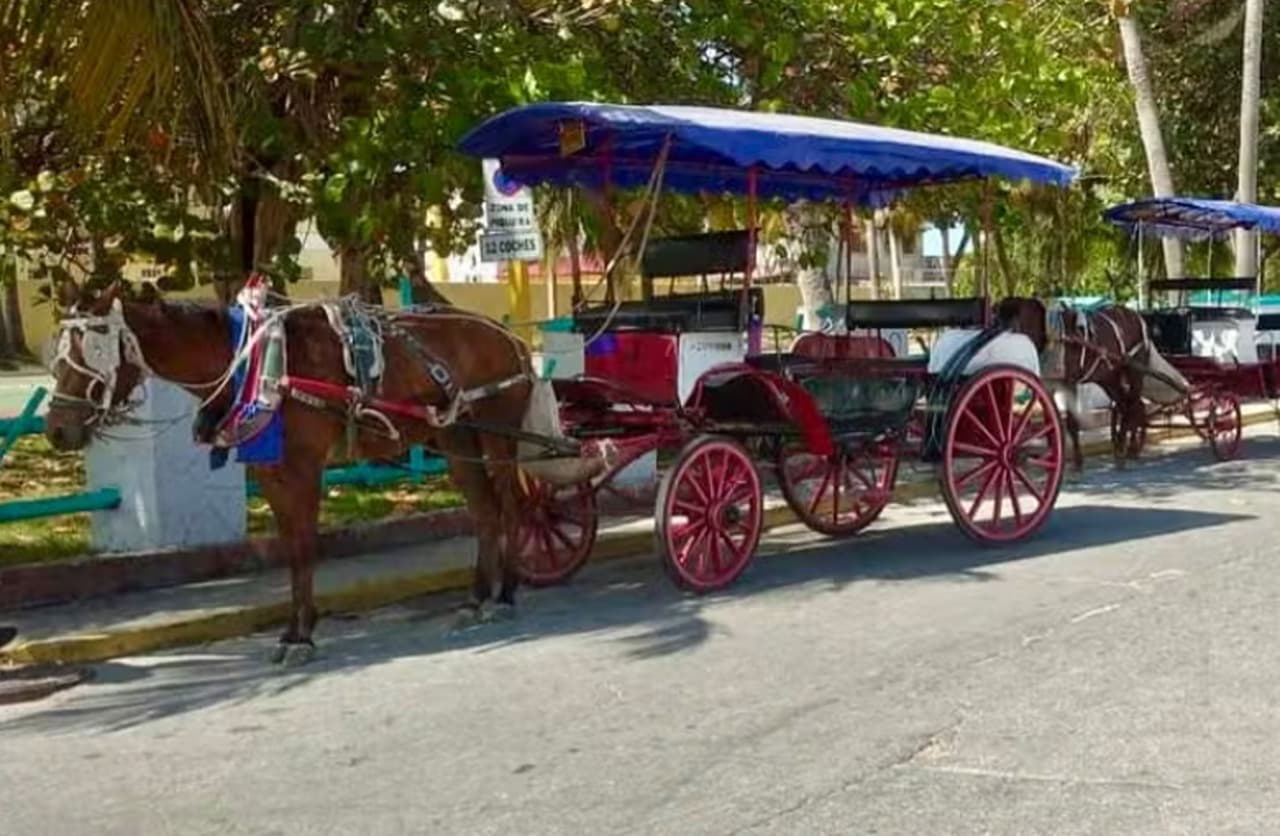 Varadero Guided Tour + Horse-Drawn Carriage Ride