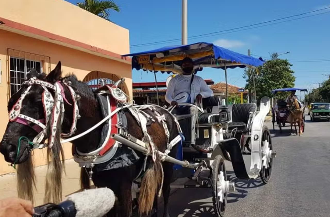 Varadero Guided Tour + Horse-Drawn Carriage Ride
