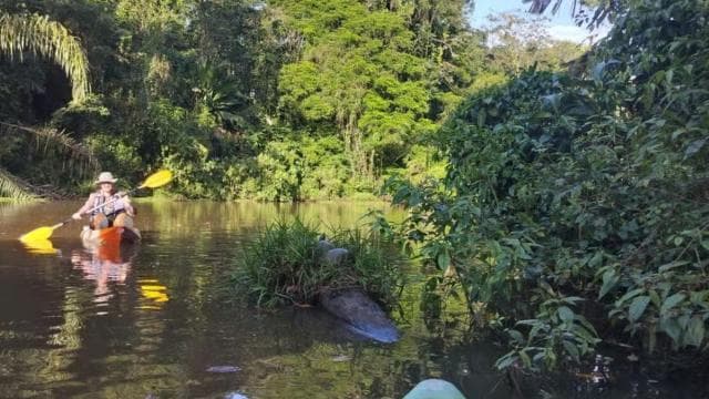 Nationalpark Tortuguero: Kajaktour mit Guide - Photo 2 (Gallery view)