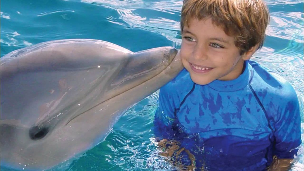 Incontro con i delfini all'Ocean World, Puerto Plata - Photo 5 (Gallery view)