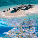 Cayo Arena: Paradise Island and Mangroves Tour