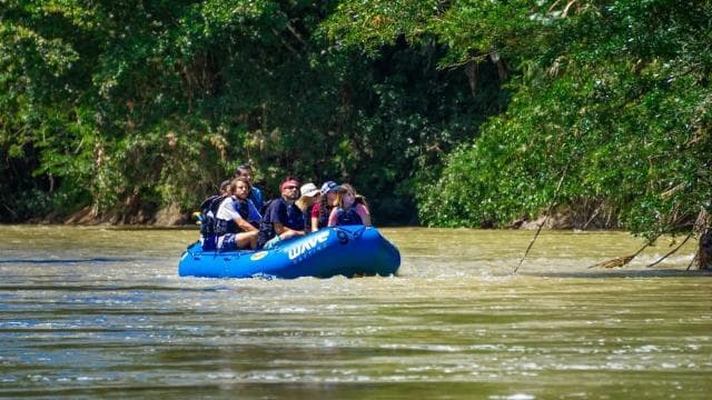 Nocturnal Nature Safari Float