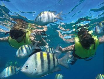 Puerto Plata: Sosúa Catamaran Day Trip with Lunch and Drinks