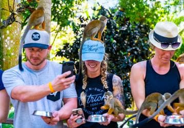 From Bayahibe: Half Day Monkeyland Safari