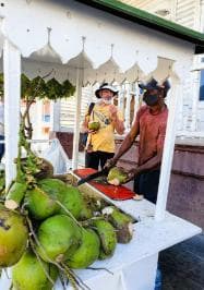 Tour Prive Manje Puerto Plata ak Beach Chillout - Photo 3 (Gallery view)