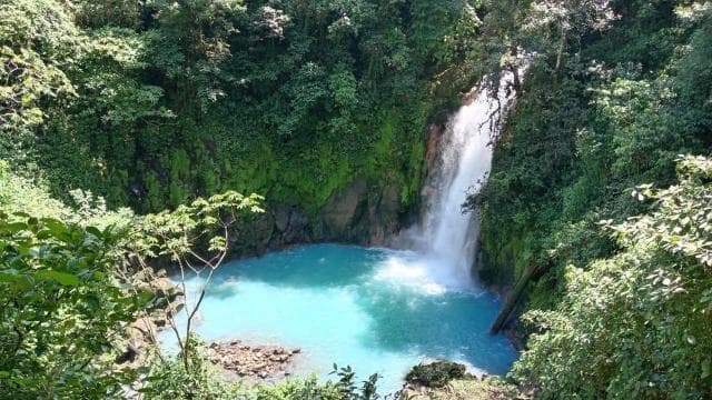 Río Celeste, Sloths, Coffee, Chocolate and Sugarcain