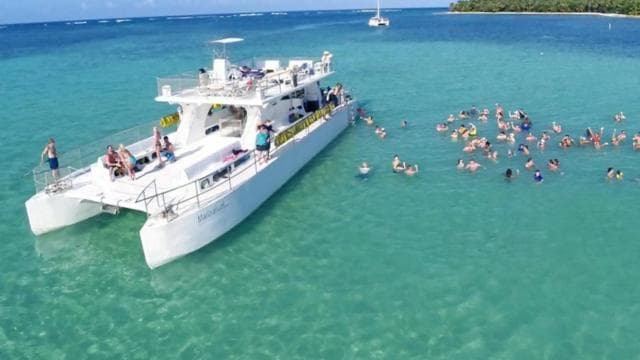 Punta Cana: Saona Islan Full Day With Catamaran and buffet - Photo 3 (Gallery view)