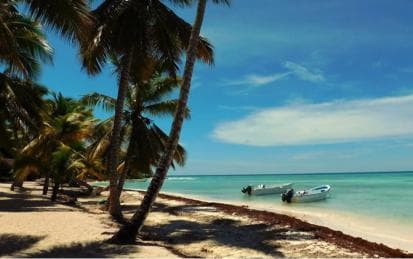 Saona Island Day Trip + Lobsters Included - Photo 4 (Gallery view)