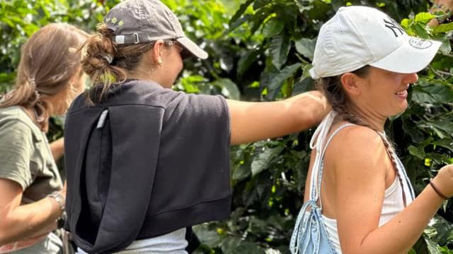 Monteverde: Coffee Farm & Roastery Tour with Tasting