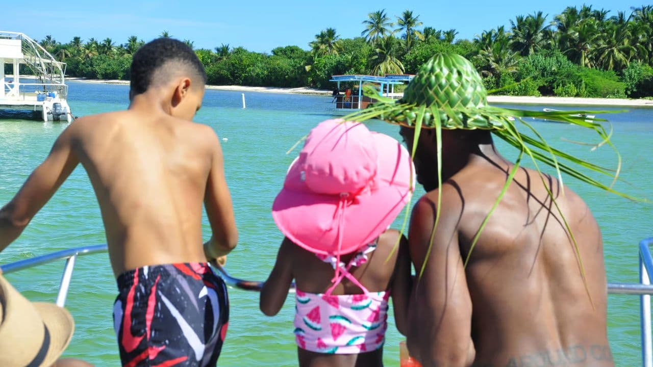 Punta Cana :Catamaran with Open Bar and Dolphin and Stingray Watching