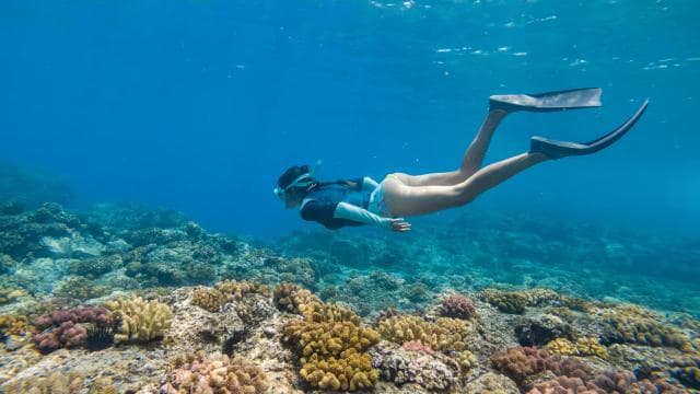 From Fajardo: Boat and Snorkeling in Culebra Island with All-Inclusive