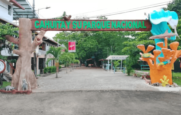 Parque Nacional Cahuita: caminata guiada por la naturaleza y la vida silvestre - Photo 4 (Gallery view)
