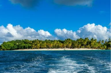 Samaná: Bacardi Island Boat Trip with Guide