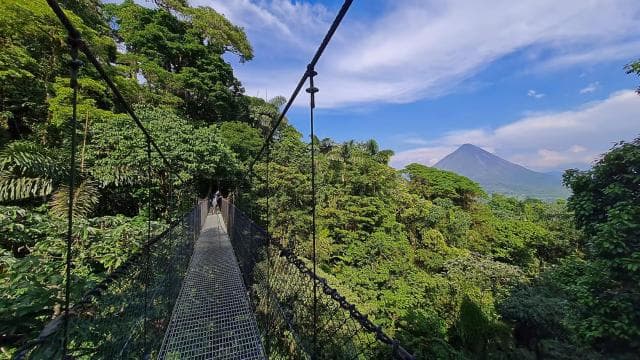 Fortuna Combo: Hanging Bridges + Arenal Volcano & Waterfall