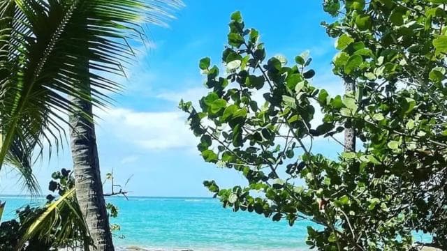 El Yunque & Piñones Tour; Hike, Eat and Chill like a Local