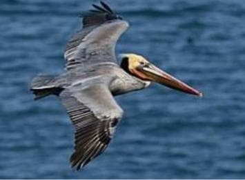 Private: Guided Hike and Kayak Adventure from Boca Chica - Photo 2 (Gallery view)